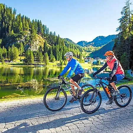 Hotel Alpenrose 4*