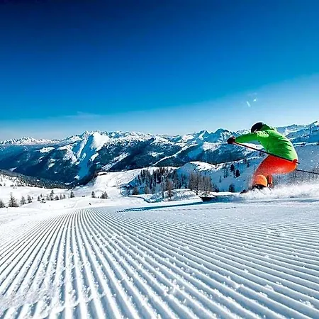 Alpenrose
